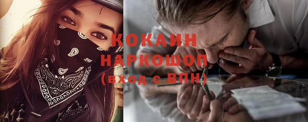 прущие грибы Коряжма