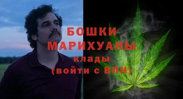 дмт Кодинск