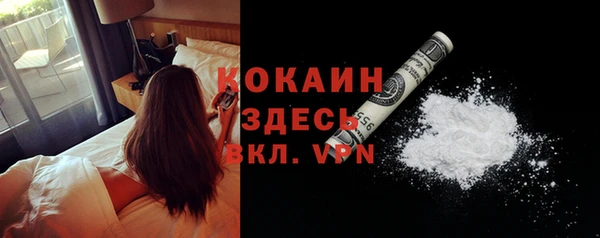 дмт Кодинск